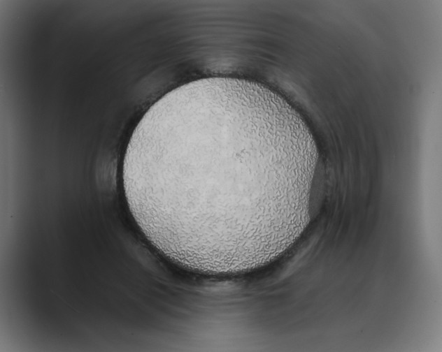 X0000088420454200706191219