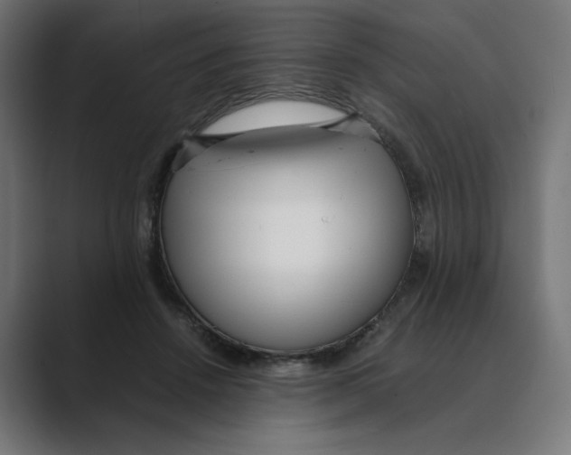 X0000088420456200706191219
