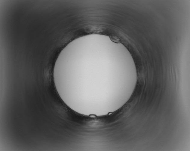 X0000088420460200706191219