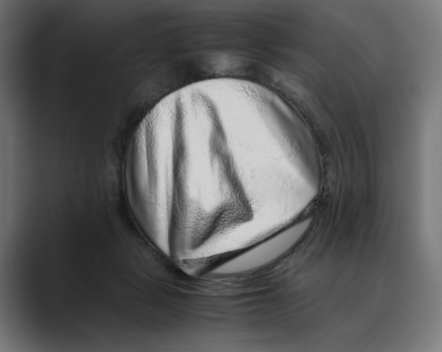 X0000088420461200706191219