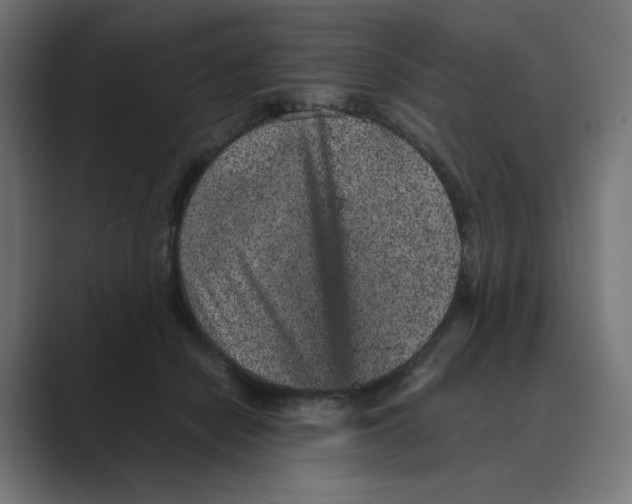 X0000088420462200706191219