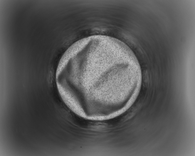 X0000088420463200706191219