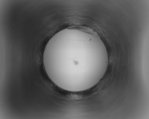 X0000088420464200706191219