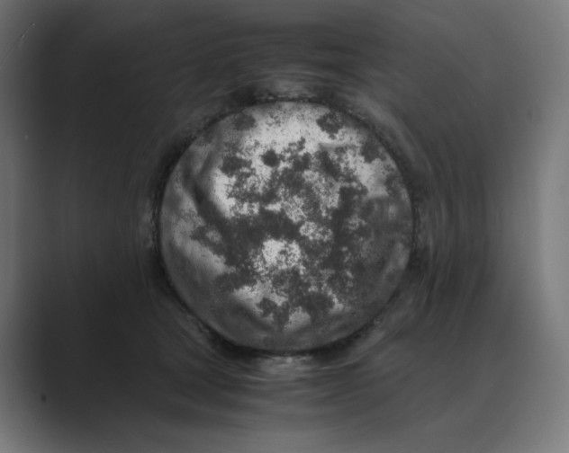 X0000088420465200706191219