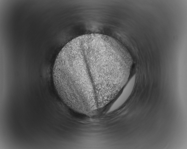 X0000088420466200706191219