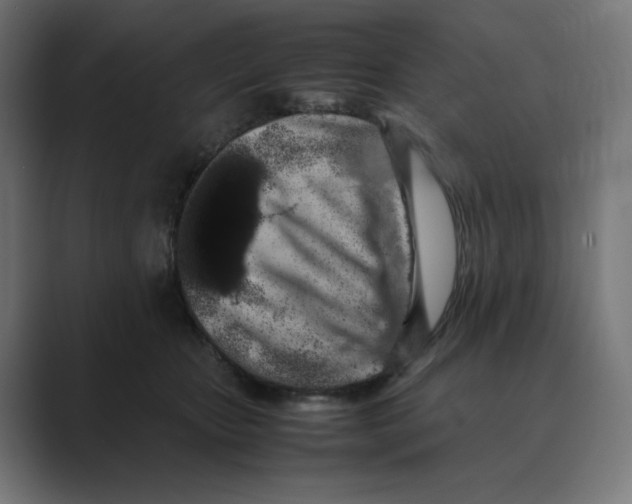 X0000088420467200706191219