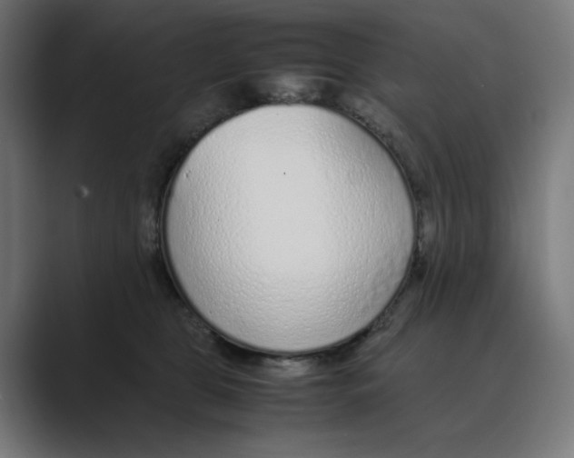 X0000088420469200706191219