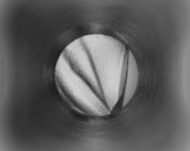 X0000088420470200706191219