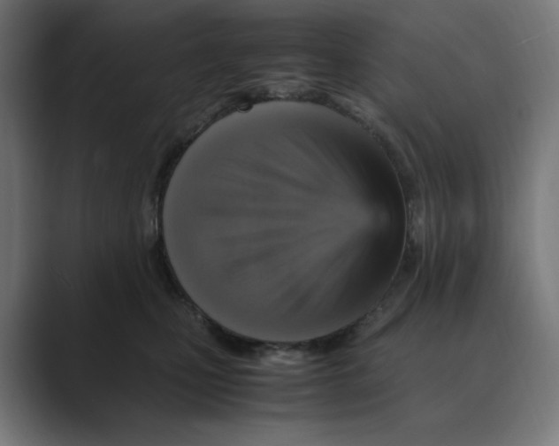 X0000088420471200706191219