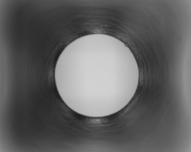 X0000088420473200706191219