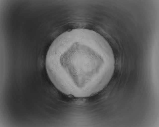 X0000088420474200706191219