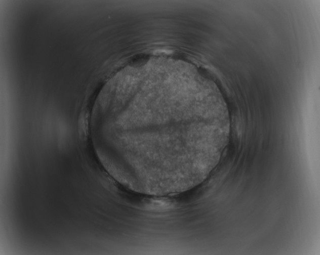 X0000088420475200706191219