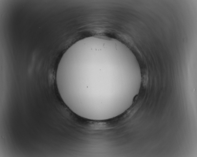 X0000088420476200706191219