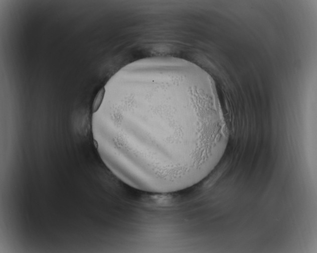 X0000088420478200706191219