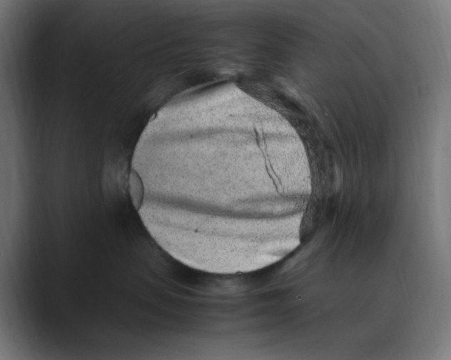 X0000088420479200706191219