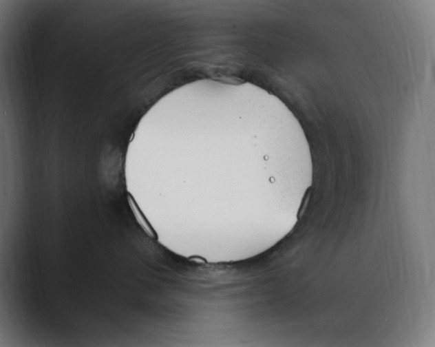 X0000088420480200706191219