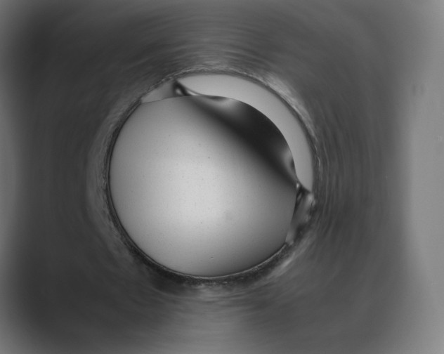 X0000088420481200706191218