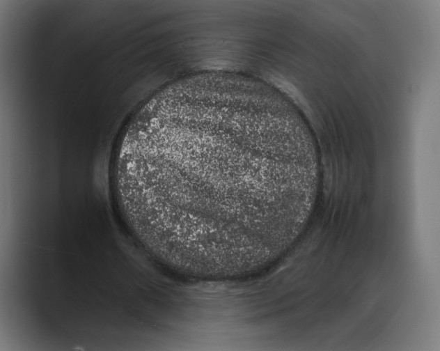 X0000088420482200706191218