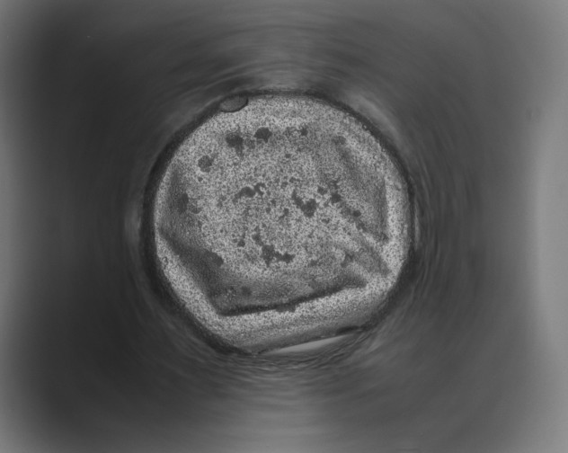 X0000088420483200706191218