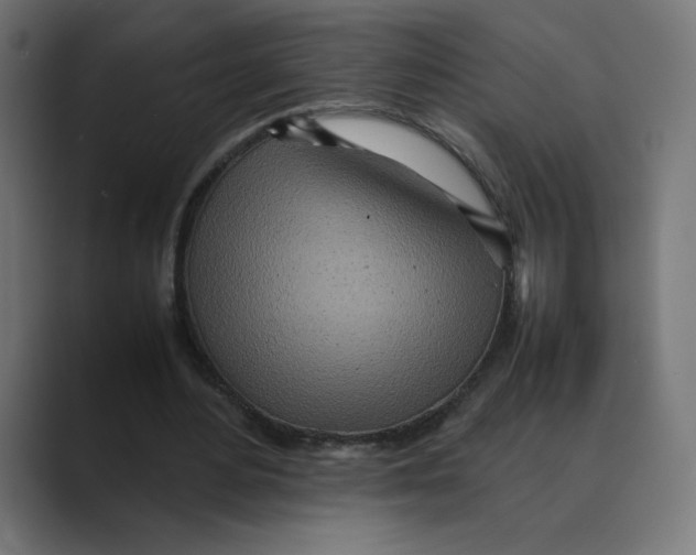 X0000088420484200706191218