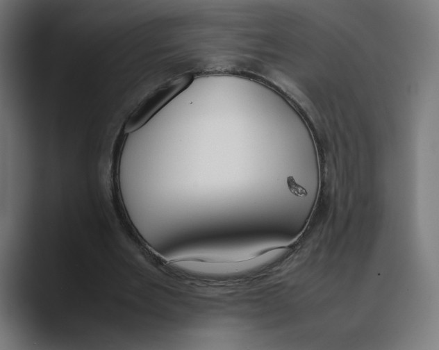 X0000088420485200706191218