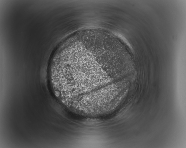 X0000088420487200706191218