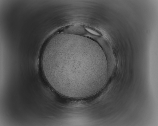 X0000088420488200706191218