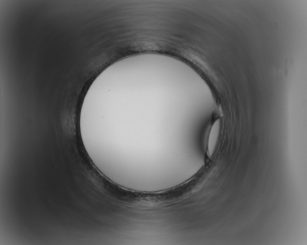 X0000088420489200706191218