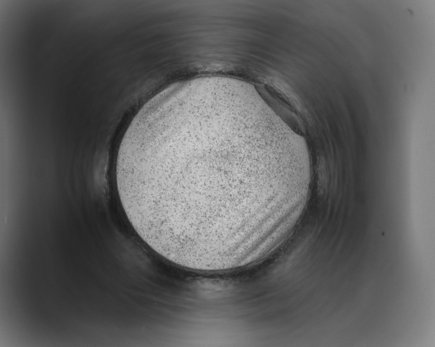 X0000088420490200706191218