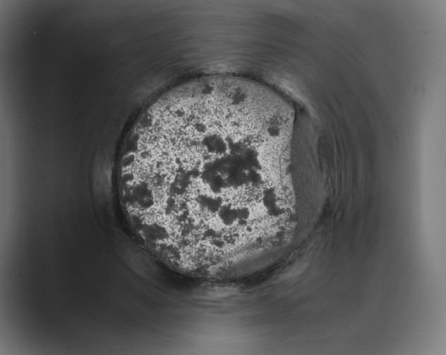 X0000088420491200706191218