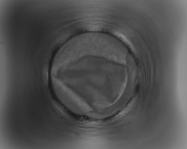 X0000088420493200706191218