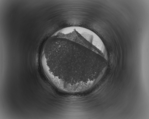 X0000088420494200706191218