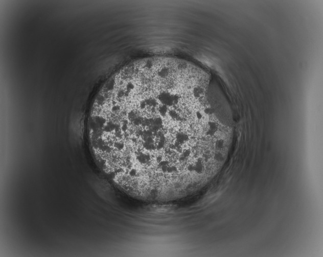 X0000088420495200706191218