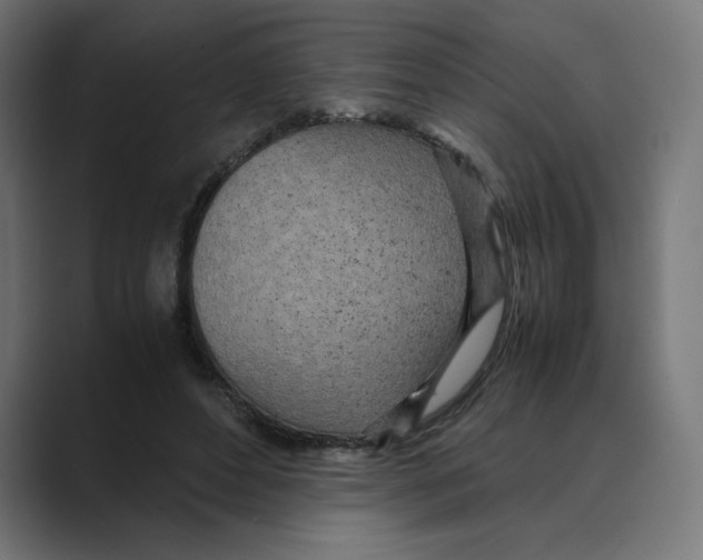 X0000088420496200706191218