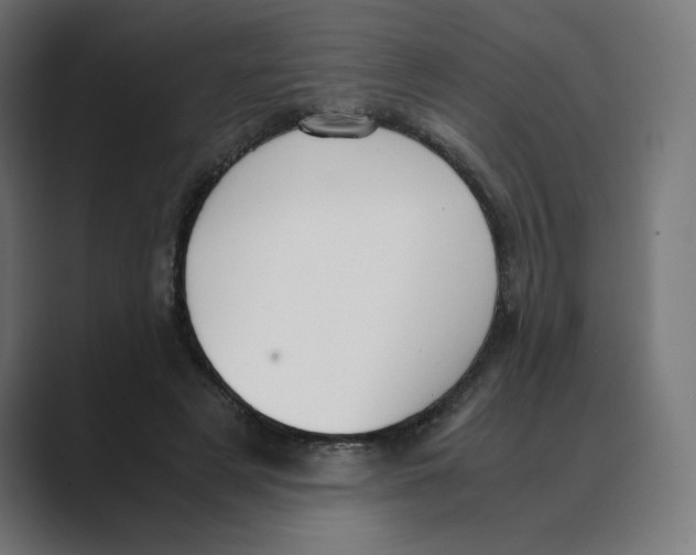 X0000088420497200706191218