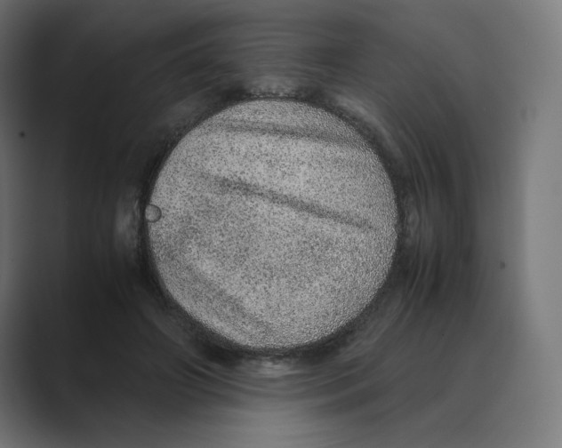 X0000088420498200706191218