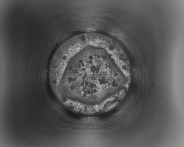 X0000088420499200706191218