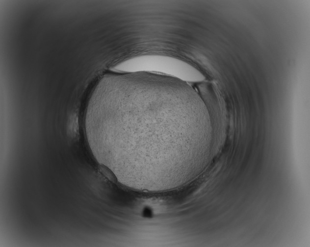 X0000088420500200706191218