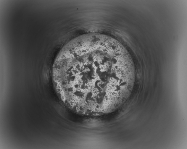 X0000088420503200706191218