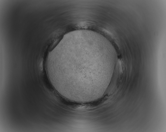 X0000088420504200706191218