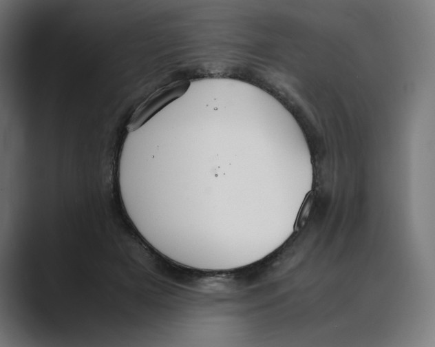 X0000088420505200706191218