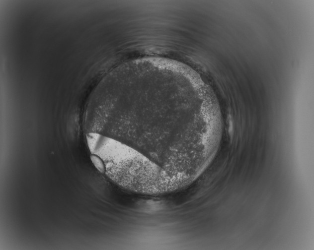 X0000088420506200706191218