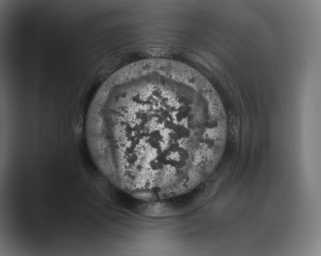 X0000088420507200706191218