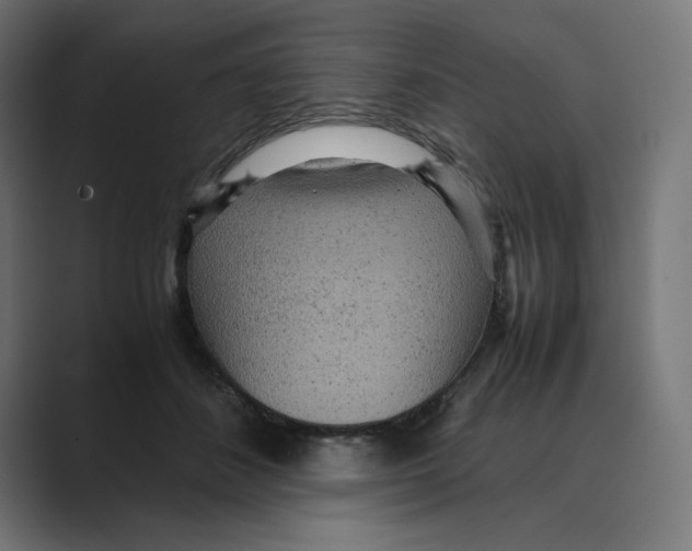 X0000088420508200706191218