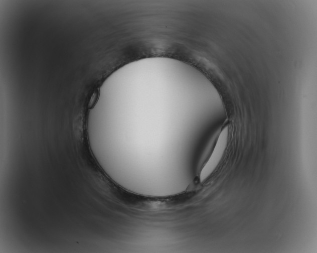 X0000088420509200706191218