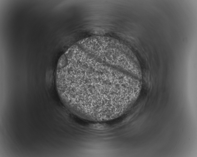 X0000088420511200706191218