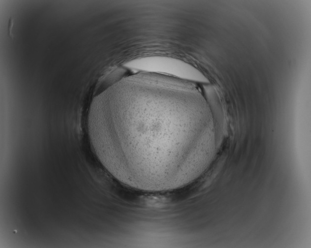X0000088420512200706191218