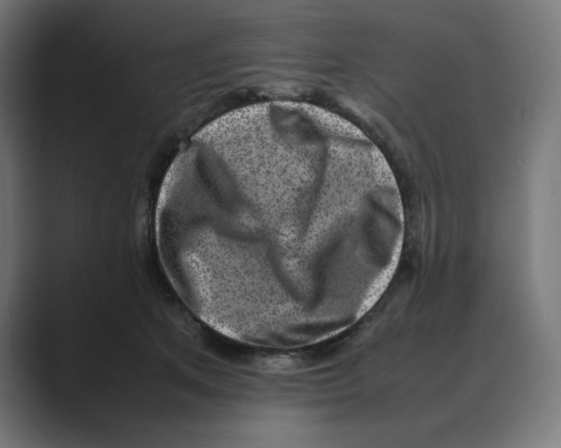 X0000088420513200706191218