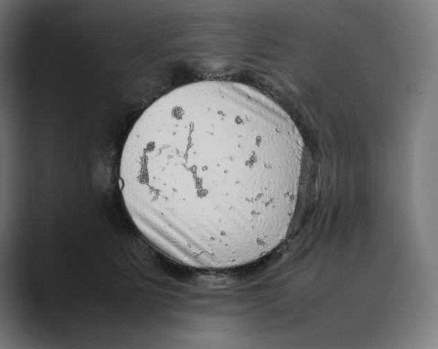 X0000088420515200706191218