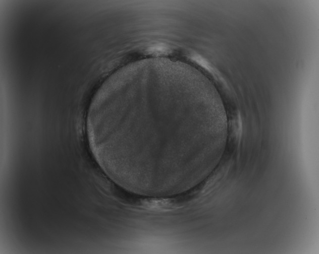 X0000088420517200706191218